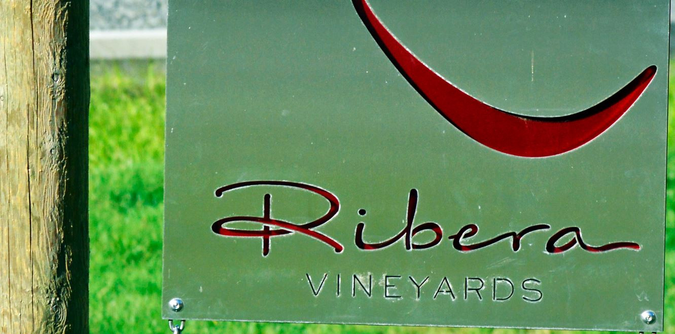 17-ribera-vineyards-west-linn-oregon-the-kelly-group-real-estate